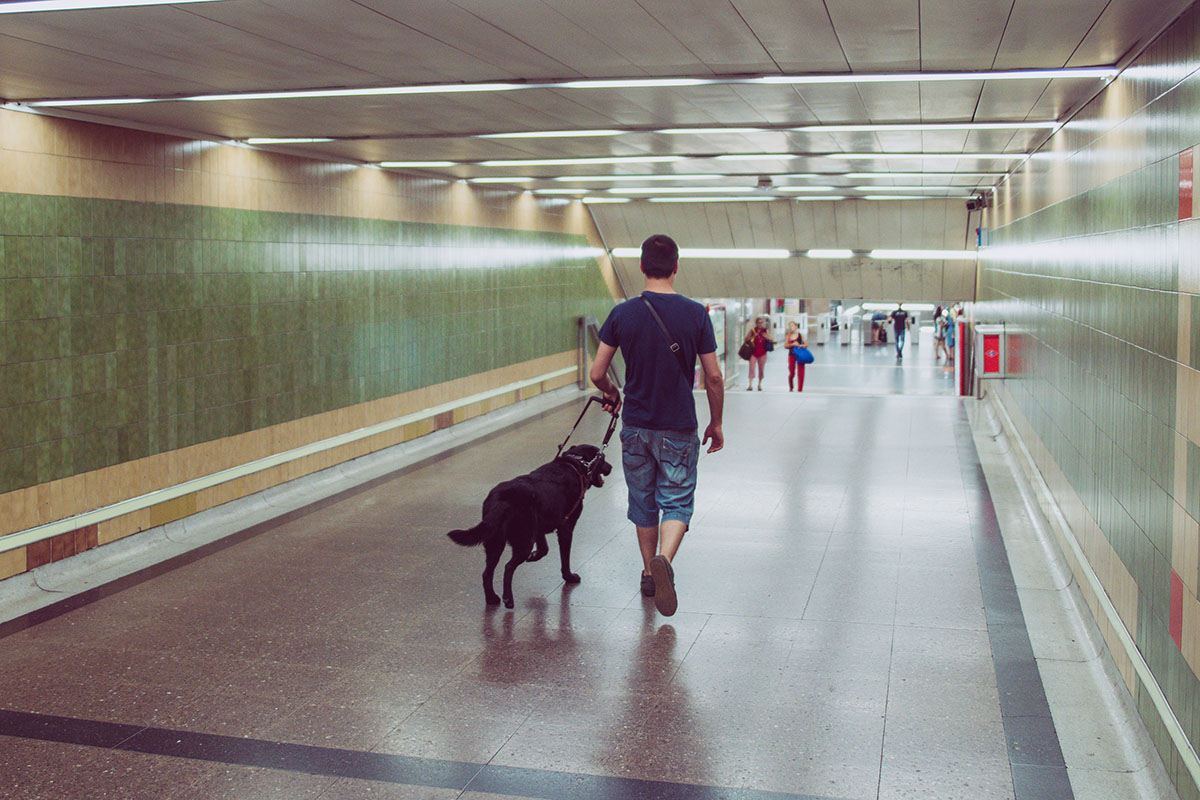 Blind man accessing a train station with his dog guide